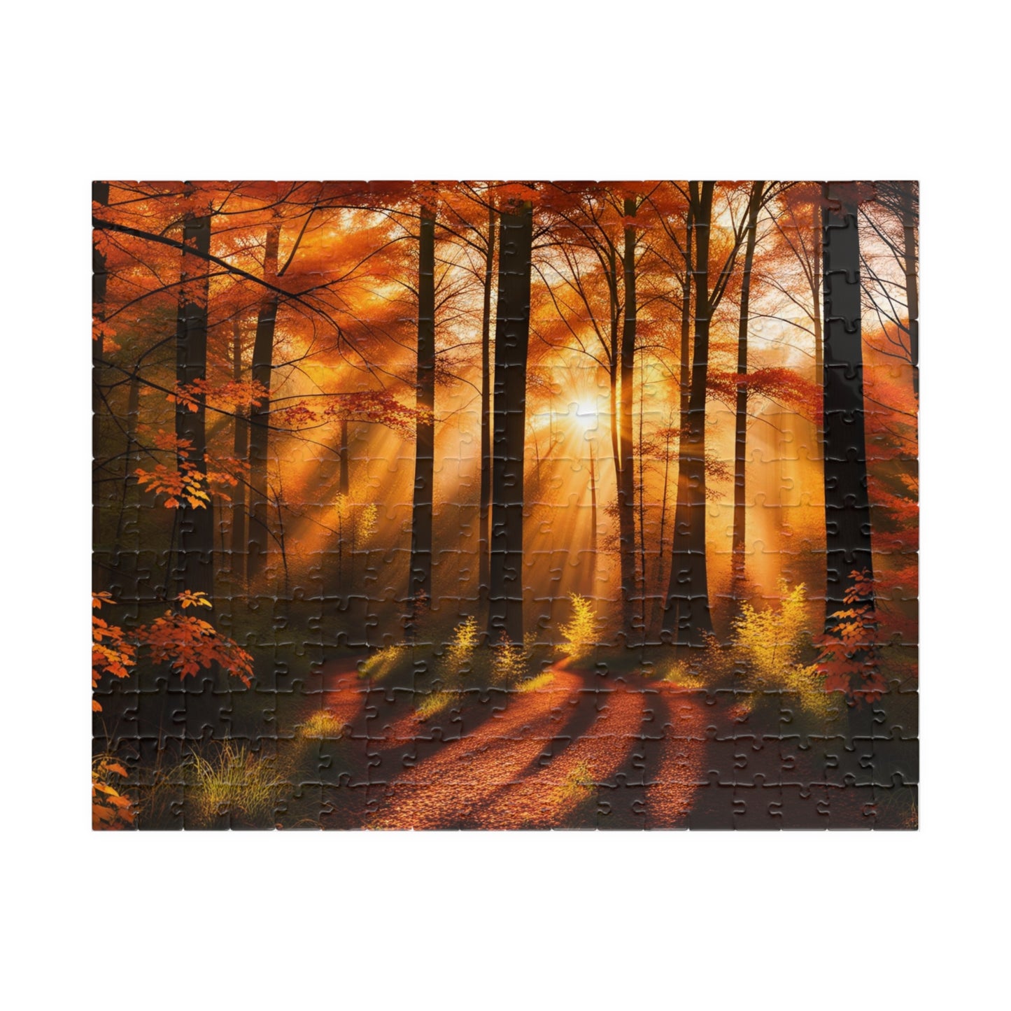 Trail in Fall Puzzle (110, 252, 500, 1014-piece)