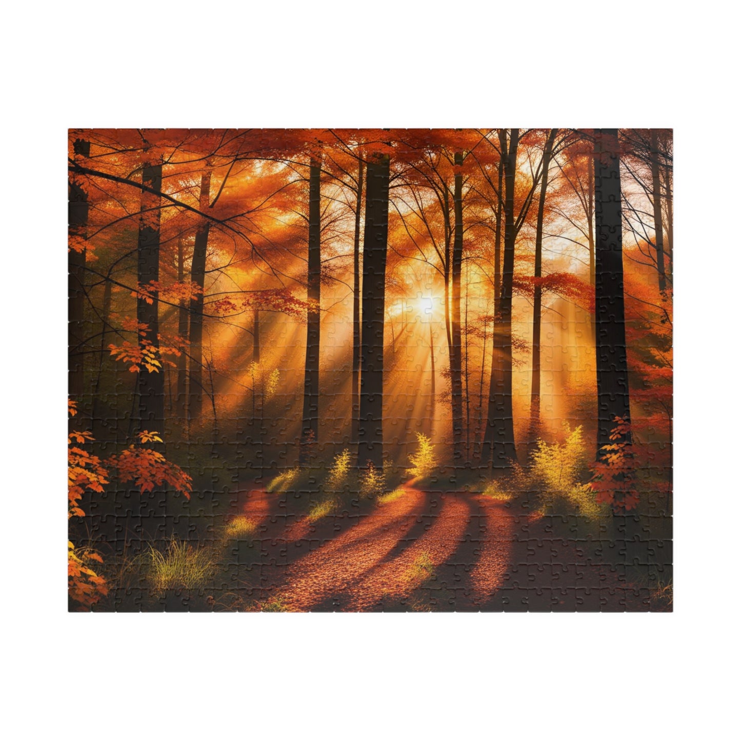 Trail in Fall Puzzle (110, 252, 500, 1014-piece)