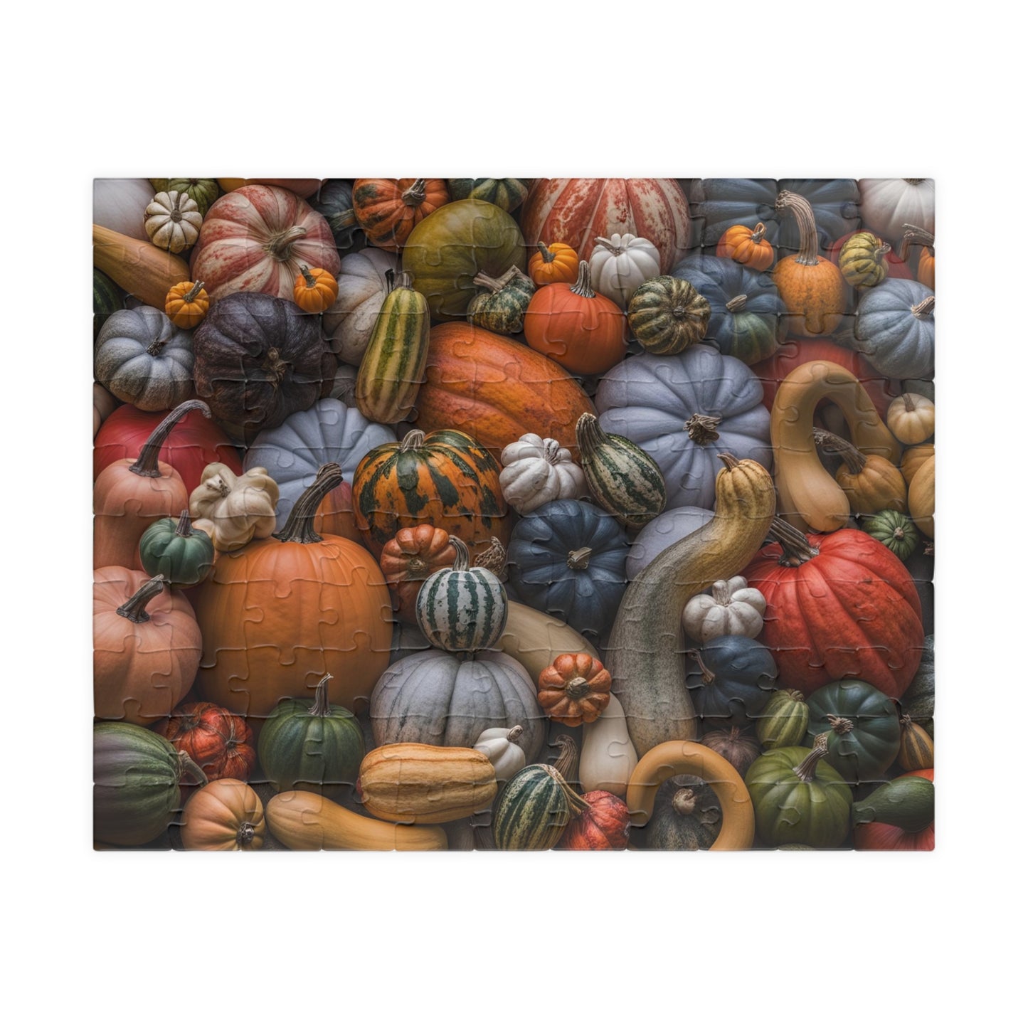 Autumn Squash and Pumpkins Puzzle (110, 252, 500, 1014-piece)